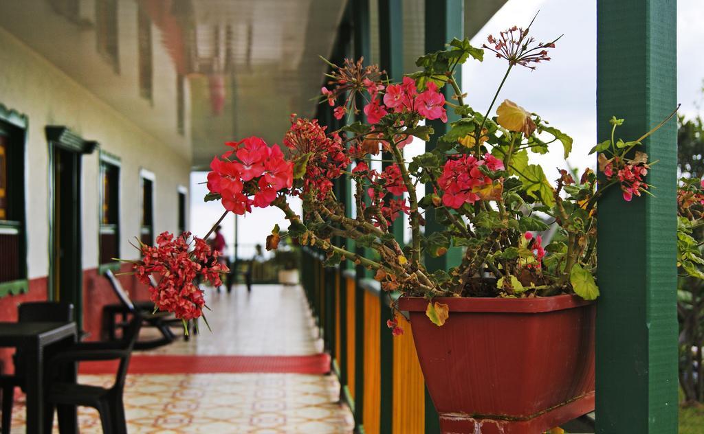 Hostal Casa De Los Taitas Salento Exterior photo